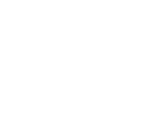 client003