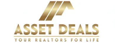 ASSET DEALS